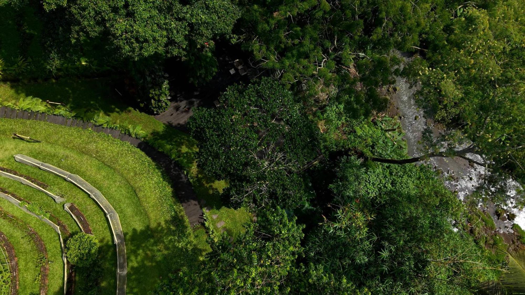 Sumeru Botanical Estate By Lead Luxury Ubud Exterior foto
