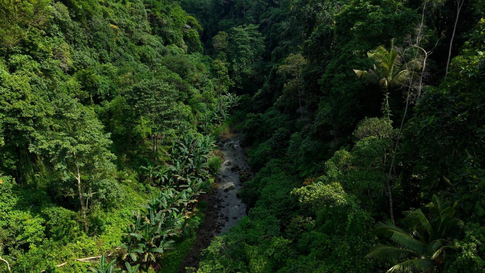 Sumeru Botanical Estate By Lead Luxury Ubud Exterior foto