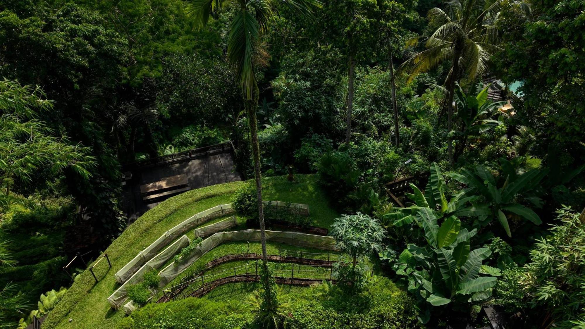 Sumeru Botanical Estate By Lead Luxury Ubud Exterior foto